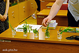 DSCF5652.jpg