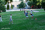 DSCF7055.jpg