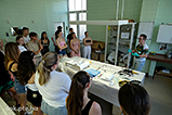 DSCF7341.jpg