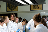 DSCF7369.jpg