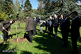 DSCF2235.jpg