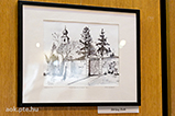 DSCF7003.jpg