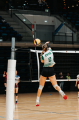 p1005451.jpg