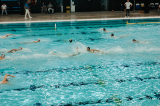p1006356.jpg