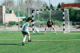 p1006584.jpg