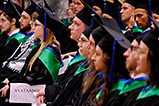 DSCF5308.jpg
