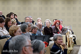 DSCF0713.jpg