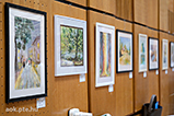 DSCF3596.jpg