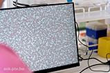DSCF3691.jpg