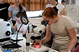 DSCF3758.jpg