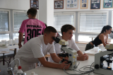 20260903_orvosi_biologia_dscf8173_verebi.jpg