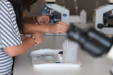 20260903_orvosi_biologia_dscf8177_verebi.jpg