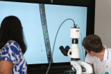 20260903_orvosi_biologia_dscf8178_verebi.jpg