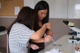 20260903_orvosi_biologia_dscf8180_verebi.jpg