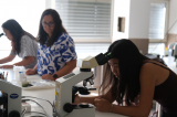20260903_orvosi_biologia_dscf8184_verebi.jpg