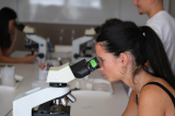 20260903_orvosi_biologia_dscf8188_verebi.jpg