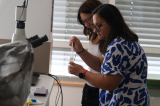 20260903_orvosi_biologia_dscf8190_verebi.jpg