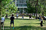 'Frisbee Toss Demo' az OK parkjban